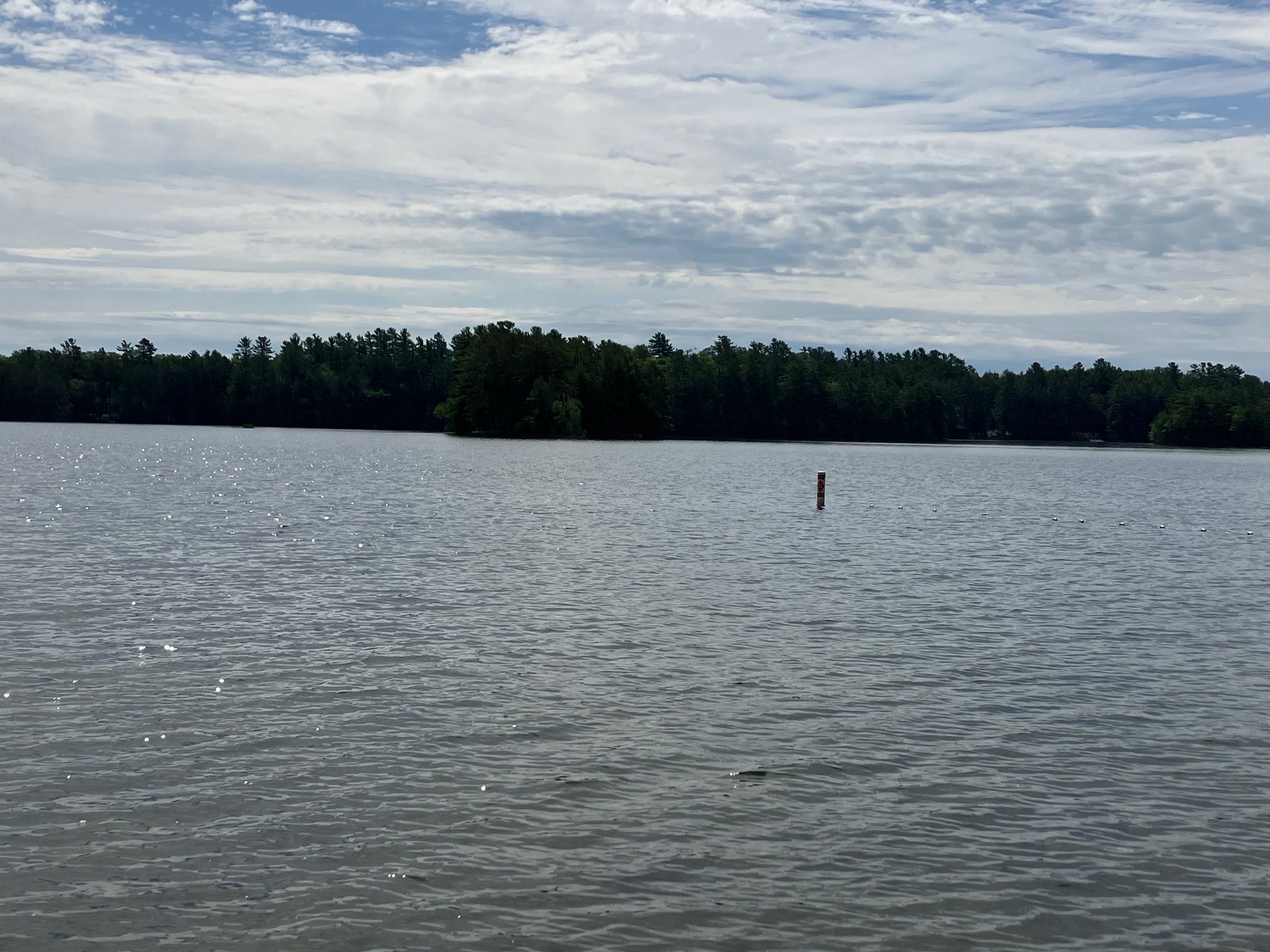 A calm lake beneath a partly cloudy sky with a wooded shoreline