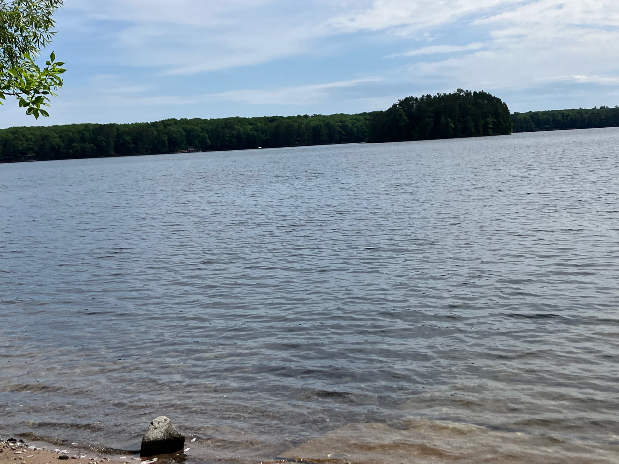 A wide lake view from a peaceful Northwoods shoreline