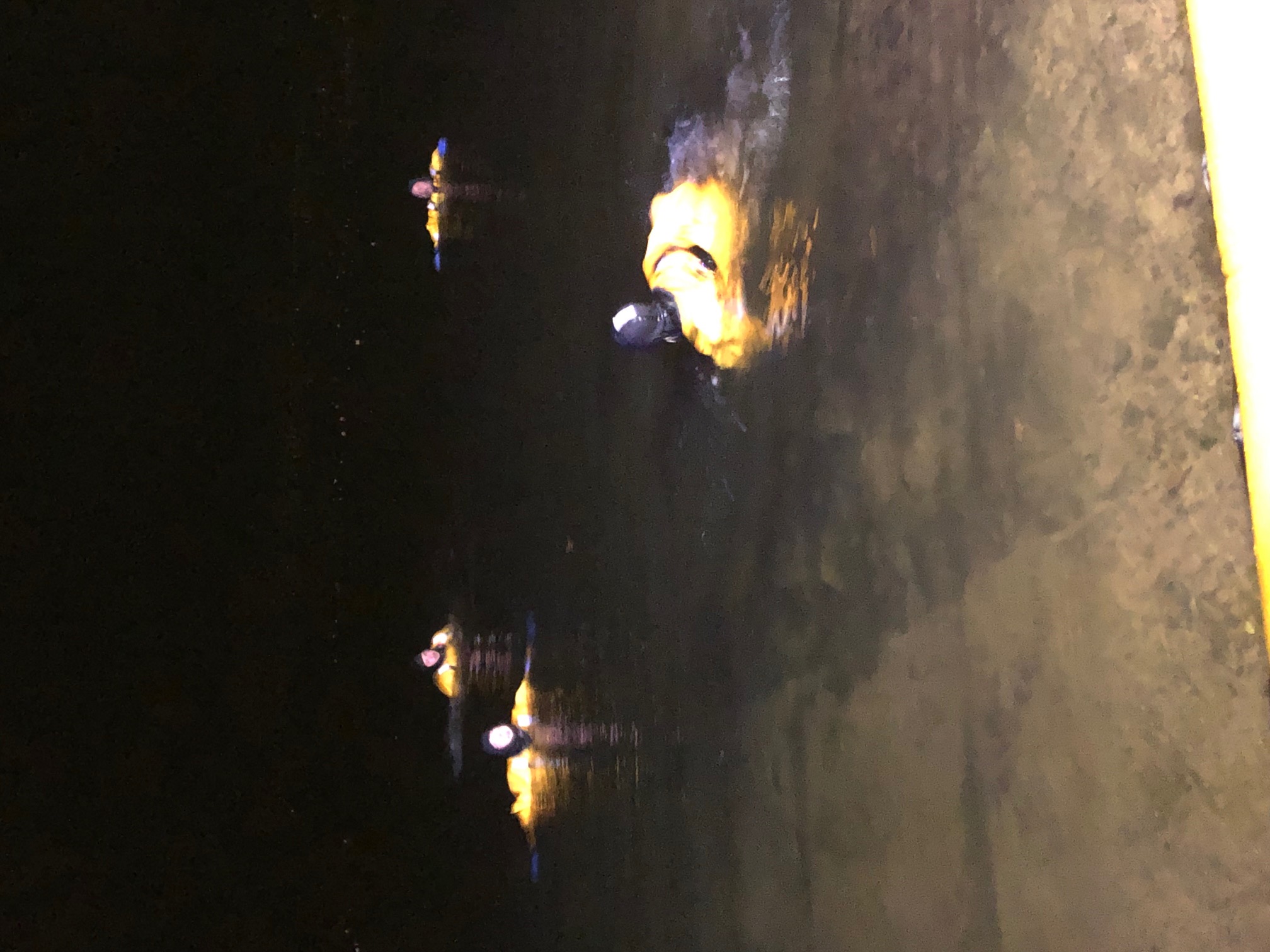 Responders in illuminated protective gear training in open water at night